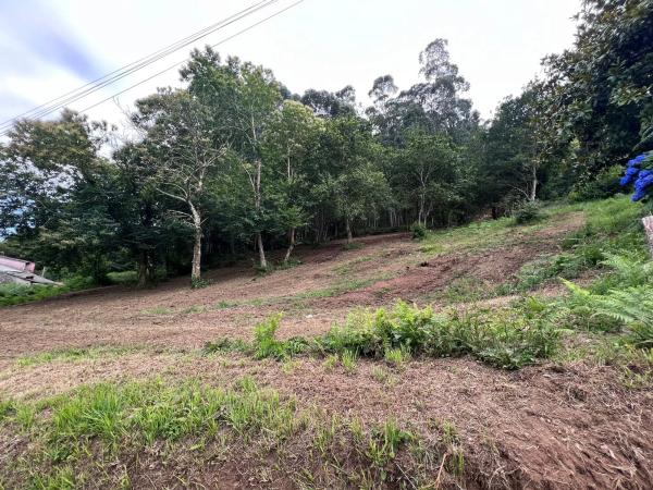 Terreno en Punta Canide s/n