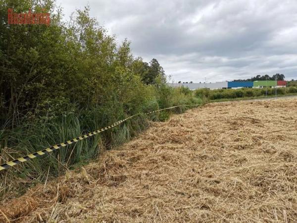 Terreno en calle Salnés, 5
