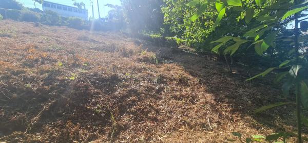 Terreno en calle dos Meniños, 15