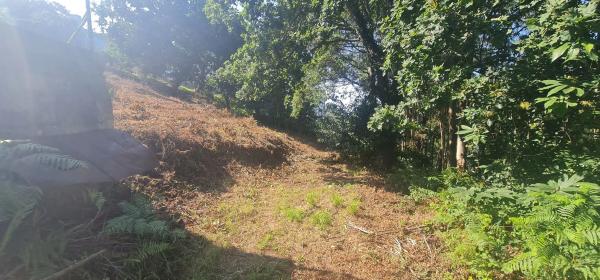 Terreno en calle dos Meniños, 15