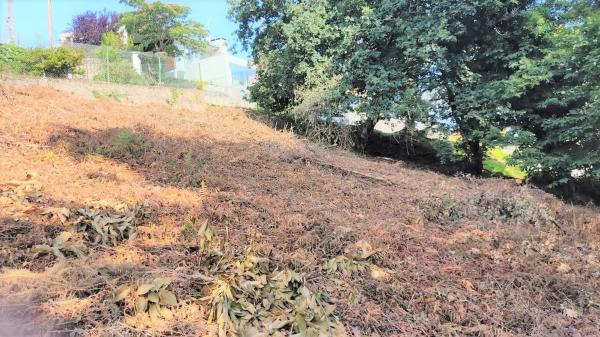 Terreno en calle dos Meniños, 15