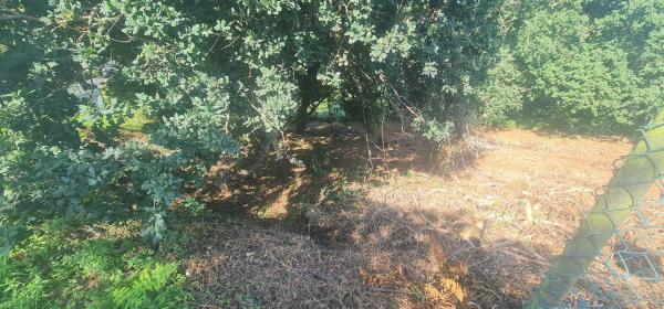 Terreno en calle dos Meniños, 15