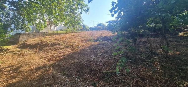 Terreno en calle dos Meniños, 15