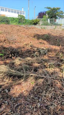 Terreno en calle dos Meniños, 15