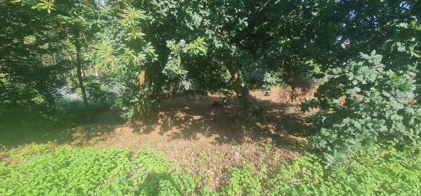 Terreno en calle dos Meniños, 15