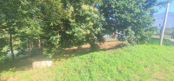 Terreno en calle dos Meniños, 15