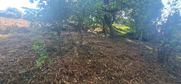 Terreno en calle dos Meniños, 15