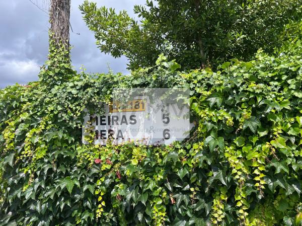 Terreno en calle Ledicia, 12