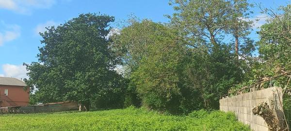 Terreno en Pombo