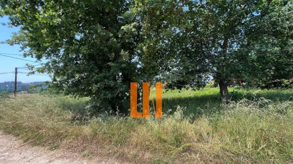 Terreno en Lg a Lagoa s/n