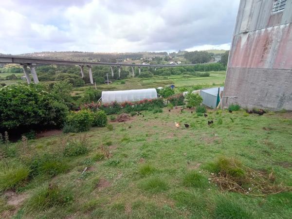 Terreno en 1dp-0511, 11 t