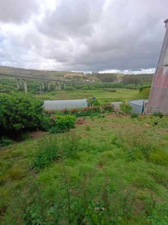 Terreno en 1dp-0511, 11 t