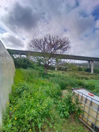 Terreno en 1dp-0511, 11 t