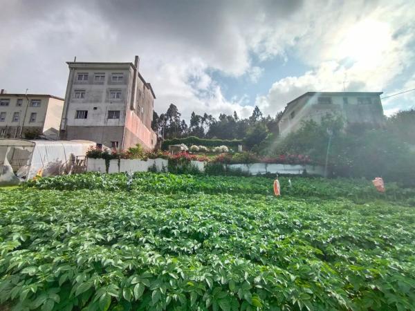 Terreno en 1dp-0511, 11 t