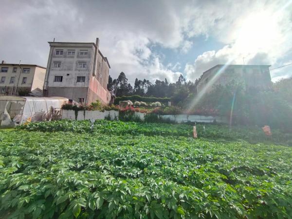 Terreno en 1dp-0511, 11 t