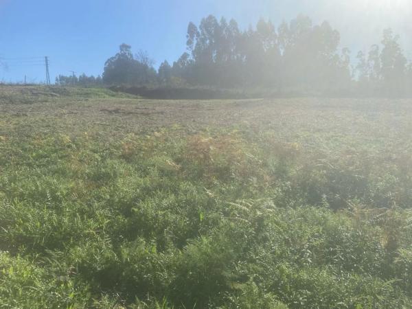 Terreno en calle do Lío
