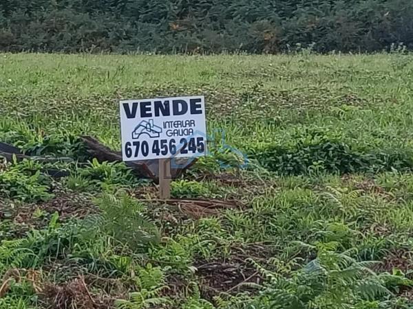 Terreno en Bergondo