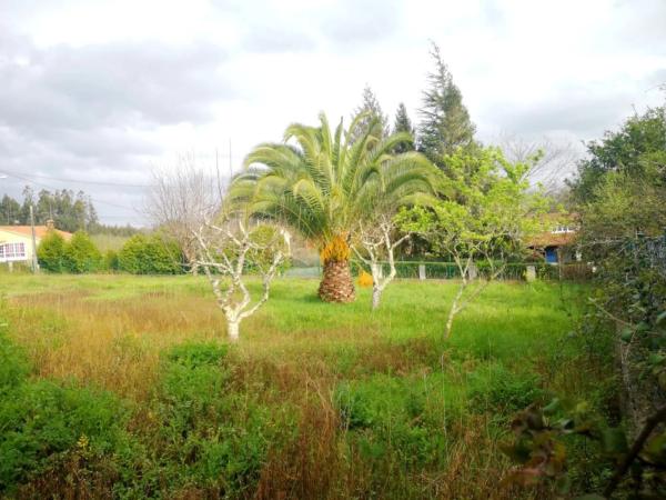Terreno en Sada