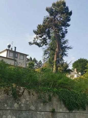 Terreno en calle Menciñeiros, 5