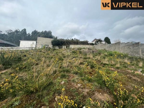 Terreno en calle Cruces