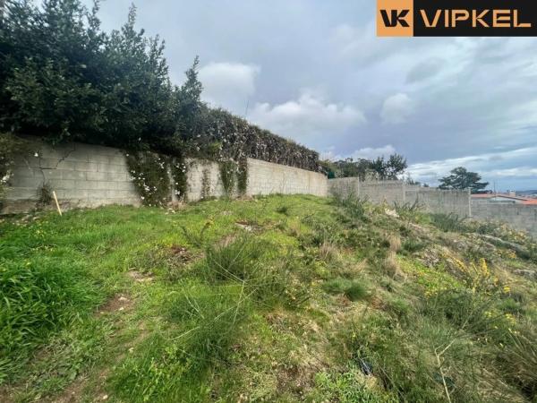 Terreno en calle Cruces