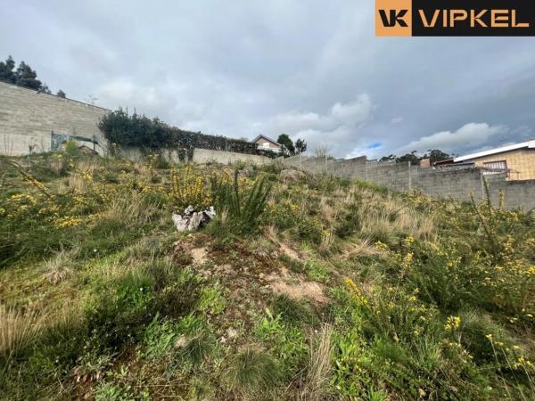 Terreno en calle Cruces