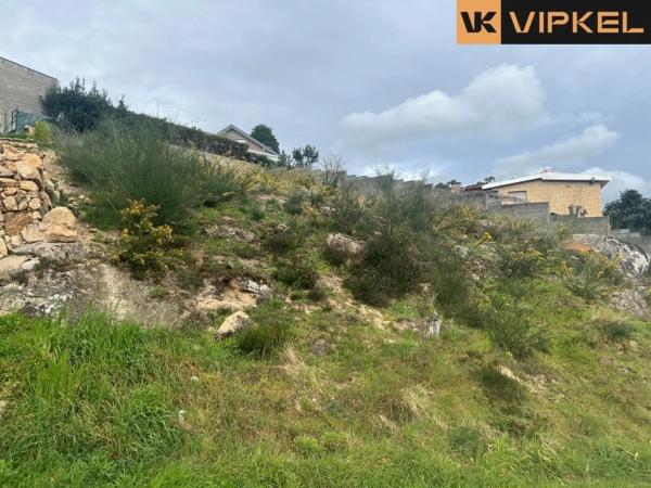 Terreno en calle Cruces