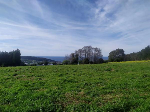 Terreno en Barrañan, km 5