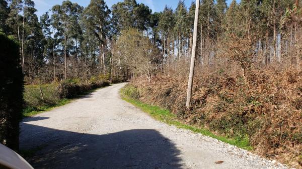 Terreno en Lugar San Paio