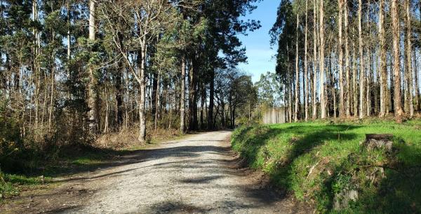 Terreno en Lugar San Paio