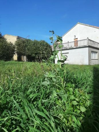 Terreno en Portádego - Vilaboa Norte
