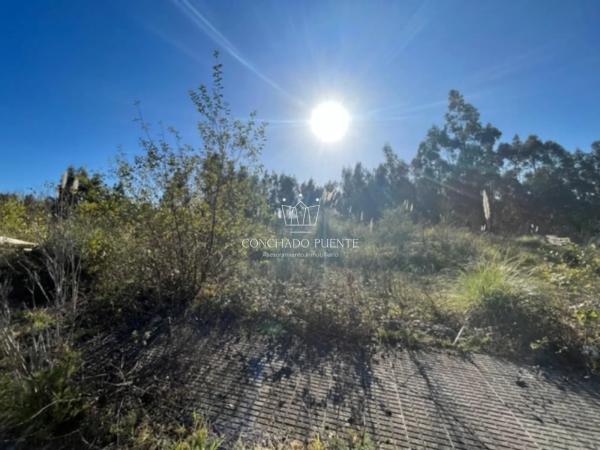 Terreno en calle Juana Capdevielle