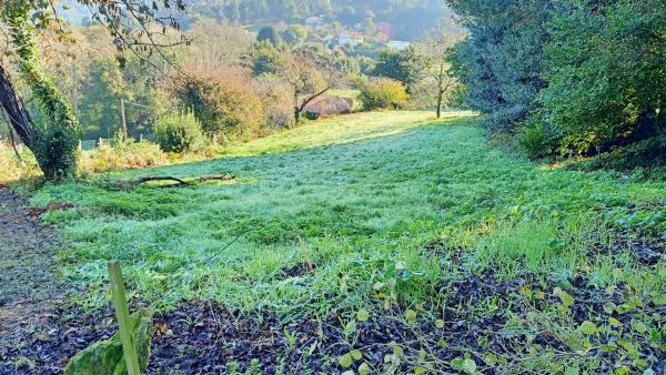 Terreno en camino Celas