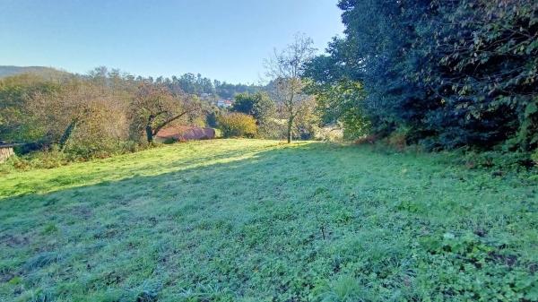 Terreno en camino Celas