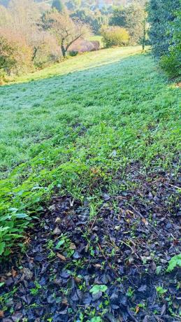 Terreno en camino Celas