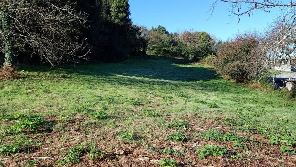 Terreno en camino Celas