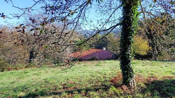 Terreno en camino Celas