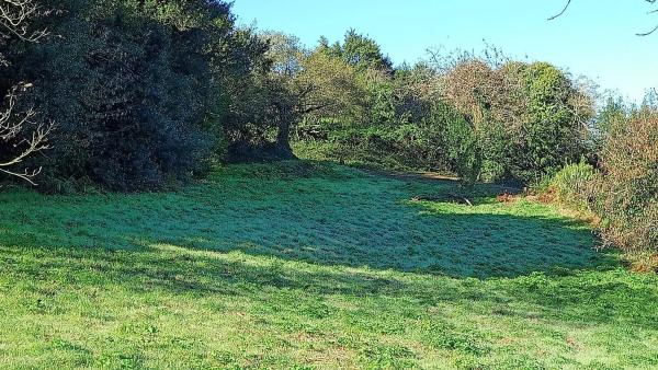 Terreno en camino Celas