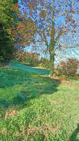 Terreno en camino Celas