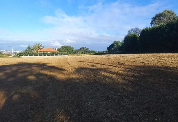 Terreno en Bouza