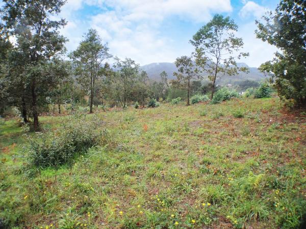 Terreno en Centro de Culleredo