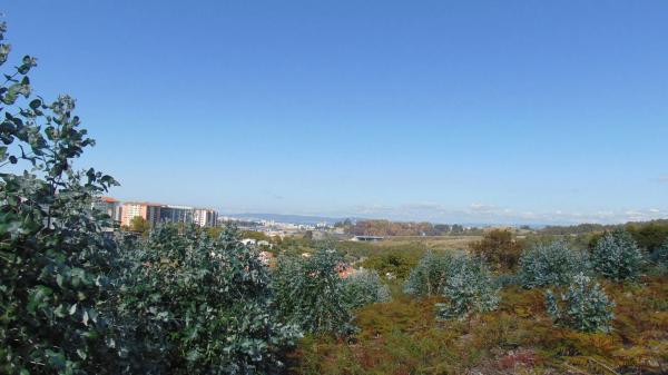 Terreno en carretera de Feans, 131
