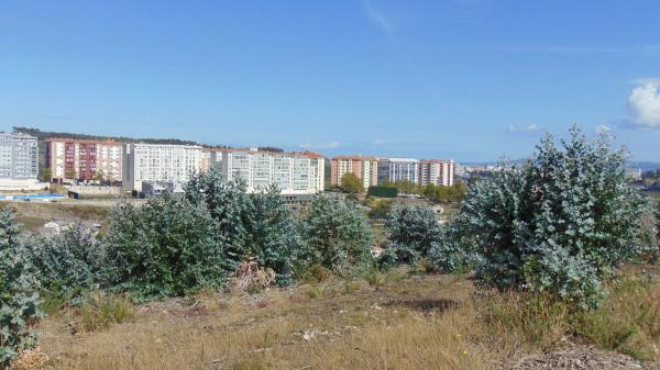Terreno en carretera de Feans, 131