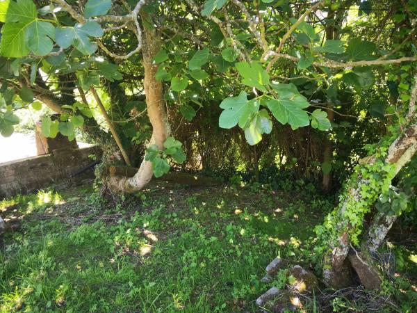 Terreno en A Zapateira