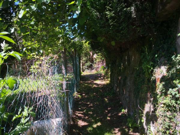 Terreno en A Zapateira