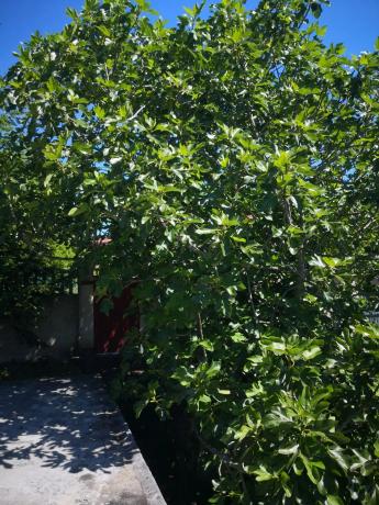 Terreno en A Zapateira