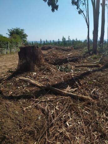 Terreno en N-vi, km 588