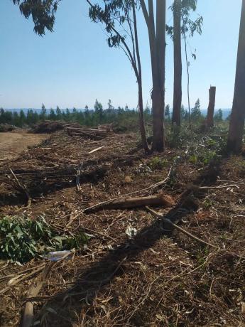 Terreno en N-vi, km 588