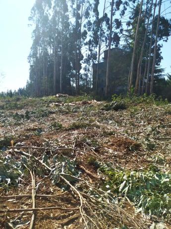 Terreno en N-vi, km 588