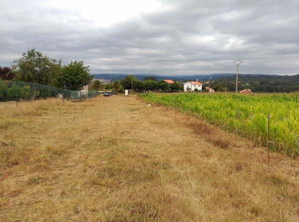 Terreno en aldea samoedo s/n